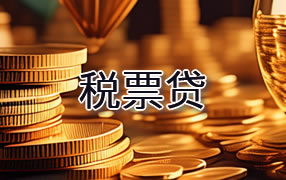 河池税票贷